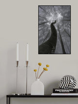 Looking up Poster och Canvastavla