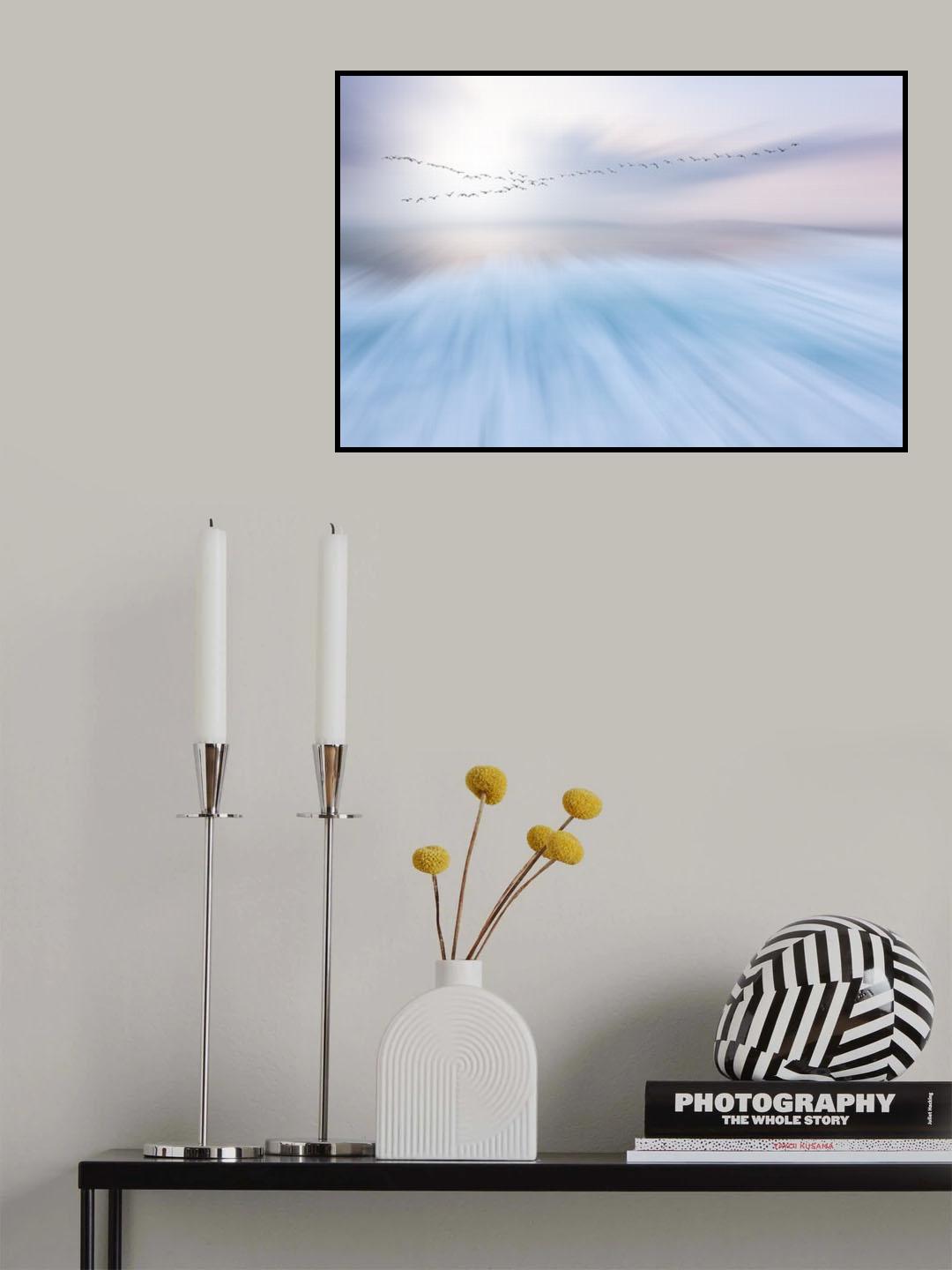 fly over Poster och Canvastavla