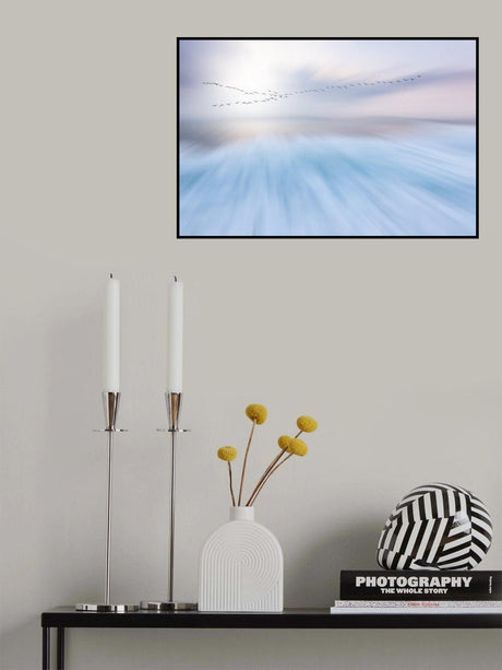 fly over Poster och Canvastavla