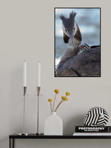 Svasso Poster och Canvastavla