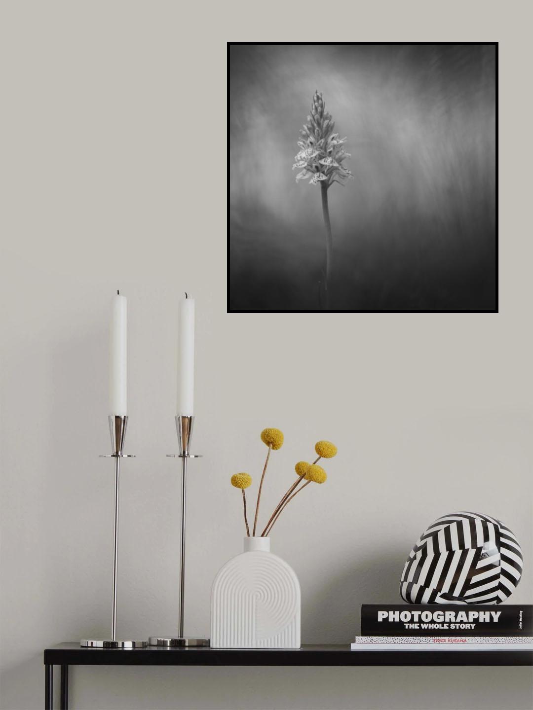 the only one Poster och Canvastavla