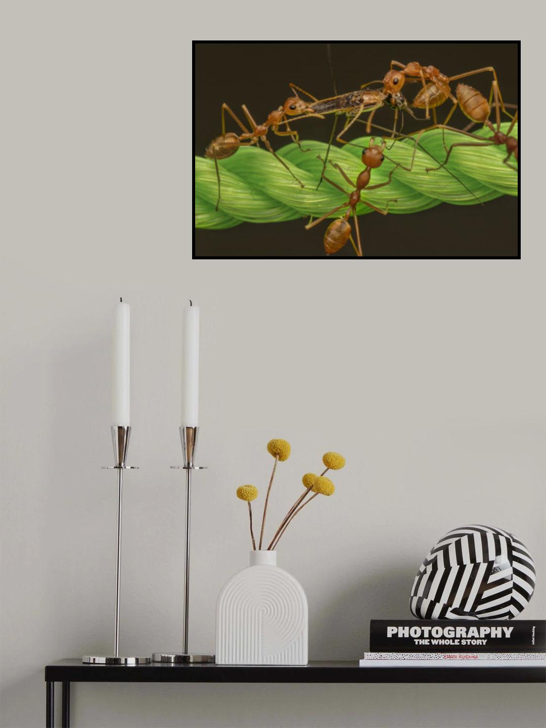 Joint Effort Poster och Canvastavla