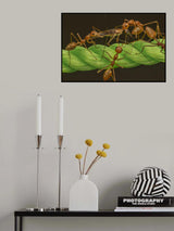 Joint Effort Poster och Canvastavla