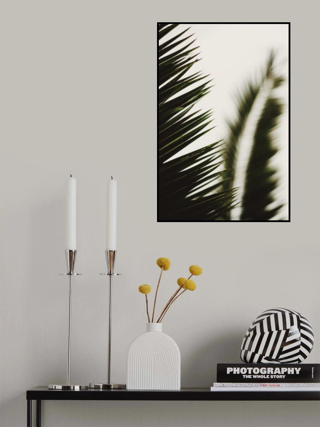Palm Branches Poster och Canvastavla