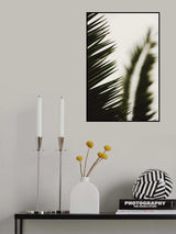 Palm Branches Poster och Canvastavla