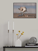 please Poster och Canvastavla