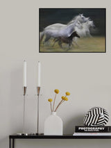 In gallop Poster och Canvastavla