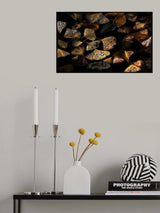 Autumn Still Life. Poster och Canvastavla