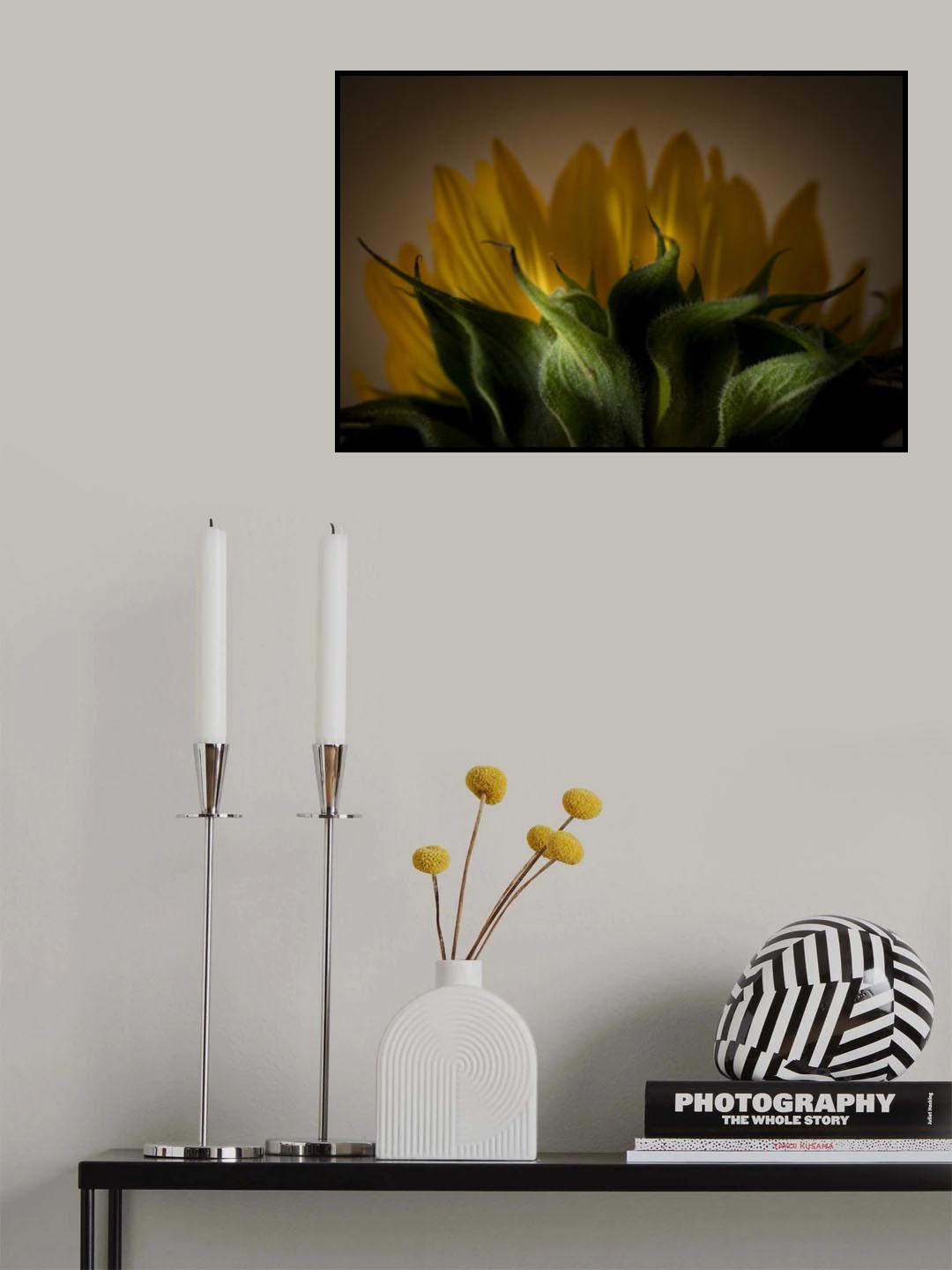 Focus on the other side Poster och Canvastavla