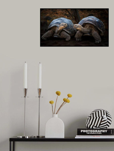 connection Poster och Canvastavla