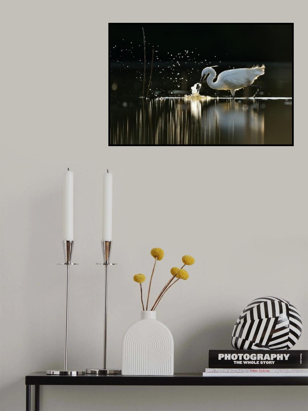 Hunting Little egret Poster och Canvastavla