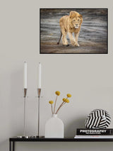 Guess who is coming to dinner? Poster och Canvastavla