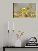 Snake in vietnam Poster och Canvastavla