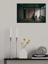 Widow Poster och Canvastavla