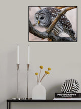 Watdching Poster och Canvastavla