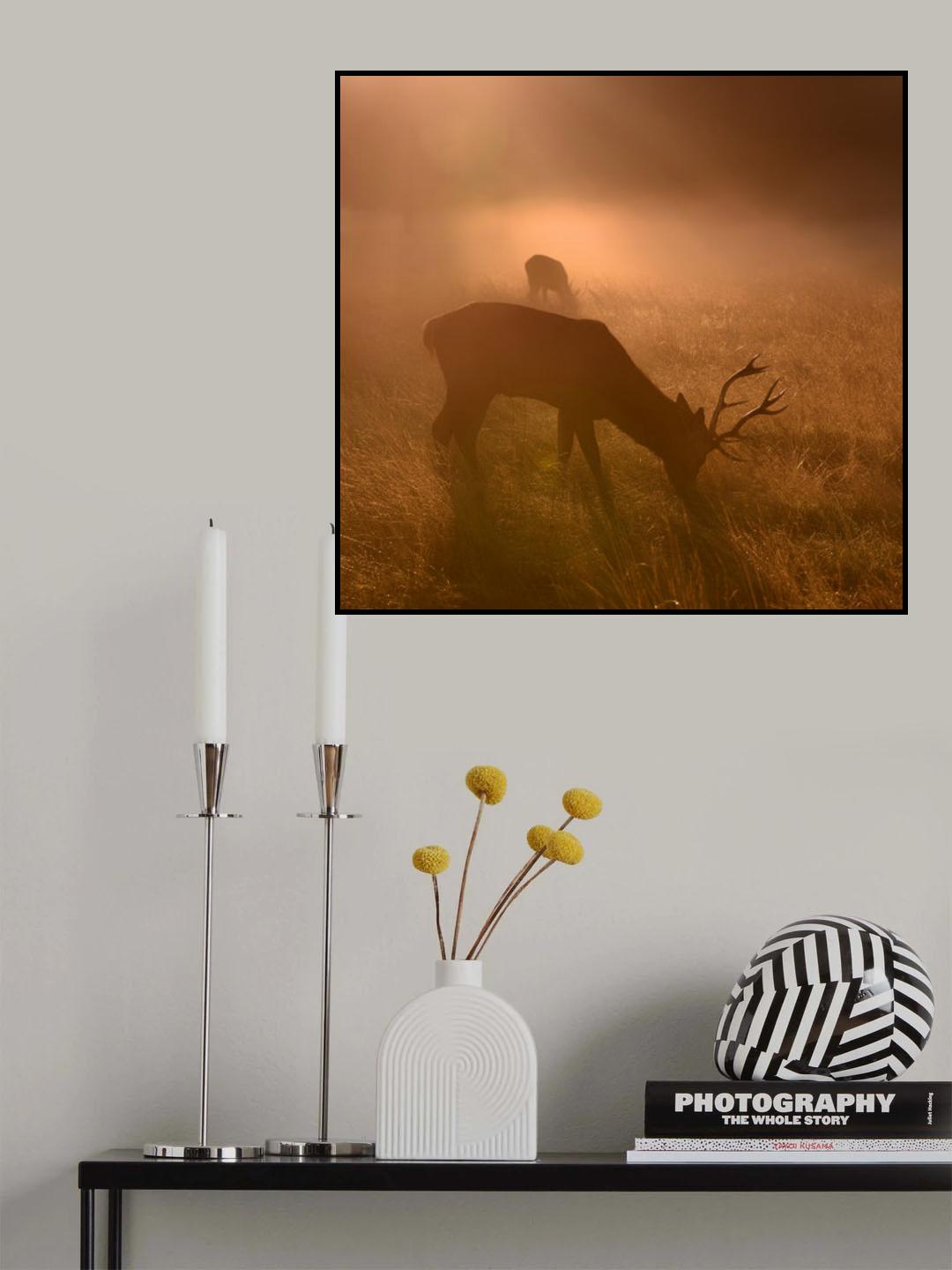 Light means everything... Poster och Canvastavla