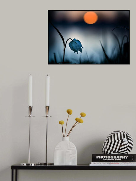 " Rising sun..." Poster och Canvastavla