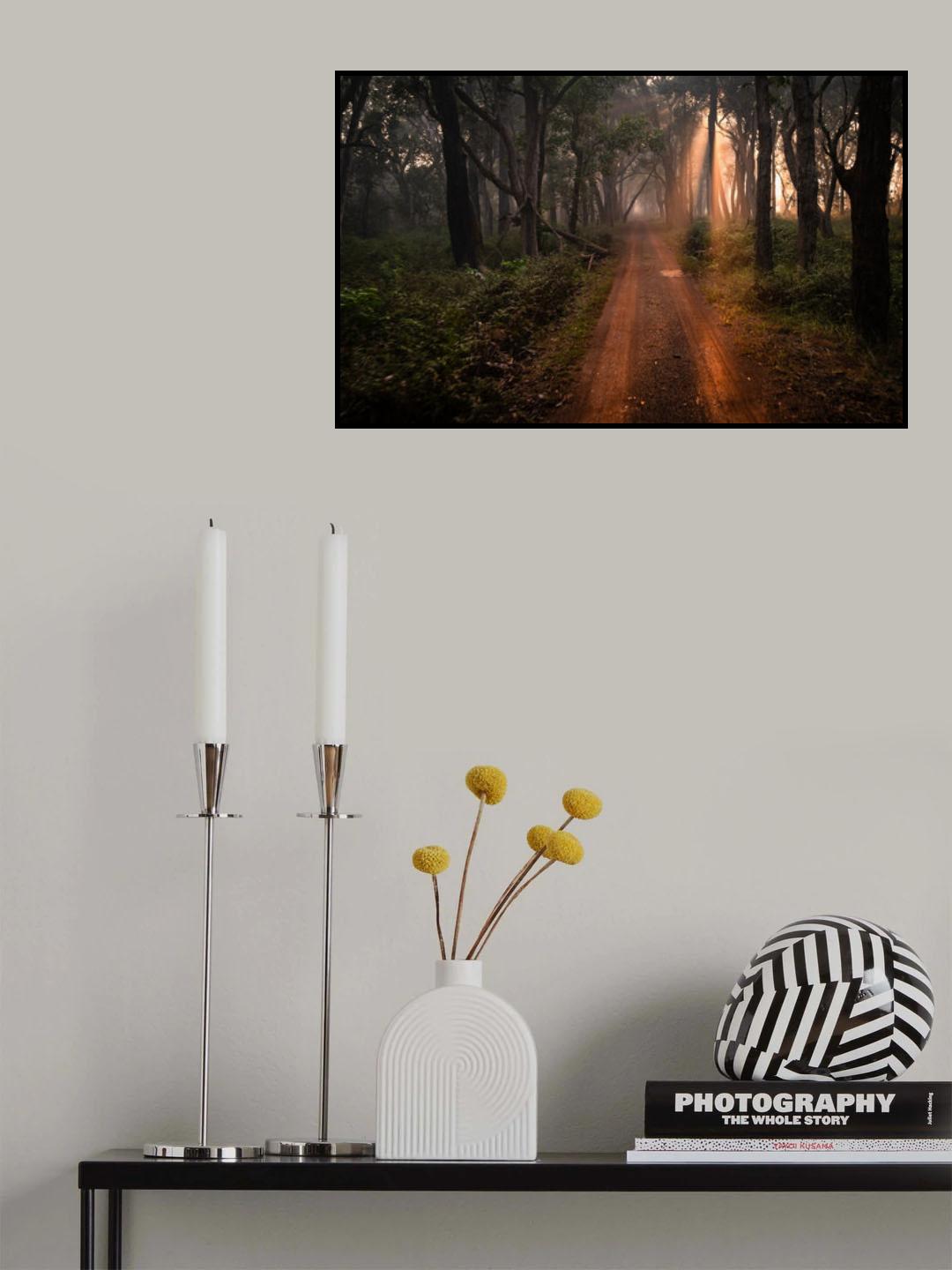 DUDHWA .. Sunrise   Safari Poster och Canvastavla