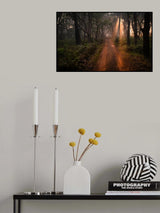DUDHWA .. Sunrise   Safari Poster och Canvastavla