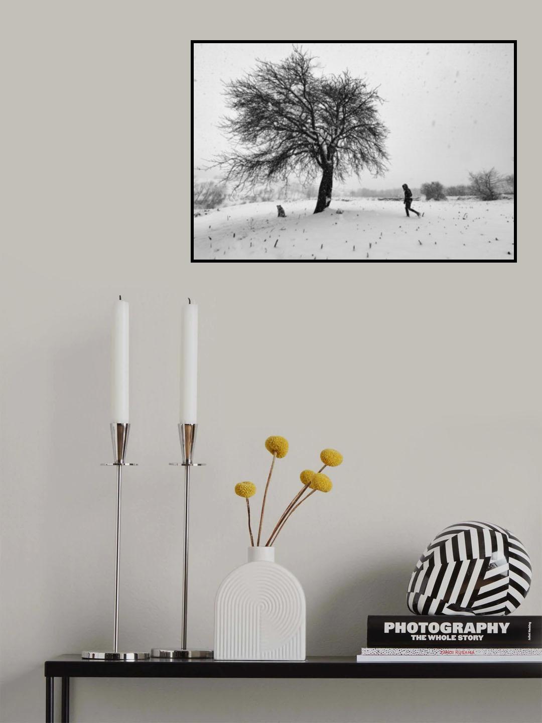 A Cold Day Poster och Canvastavla