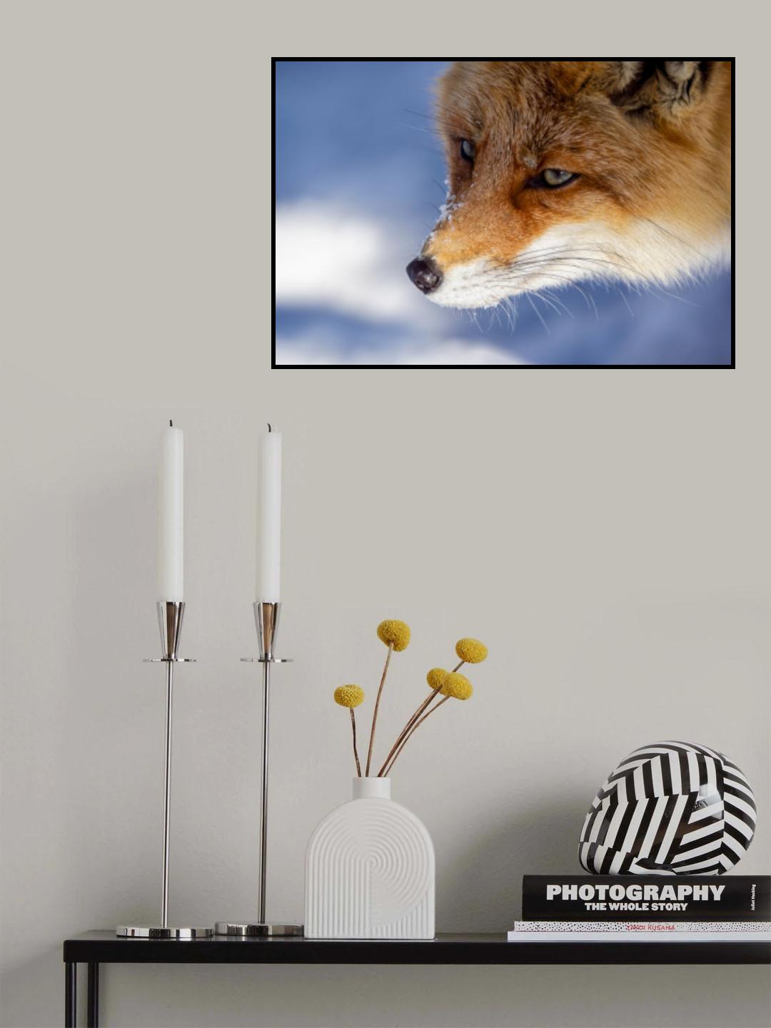 Japanese Fox Poster och Canvastavla