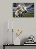 Inseparables Poster och Canvastavla