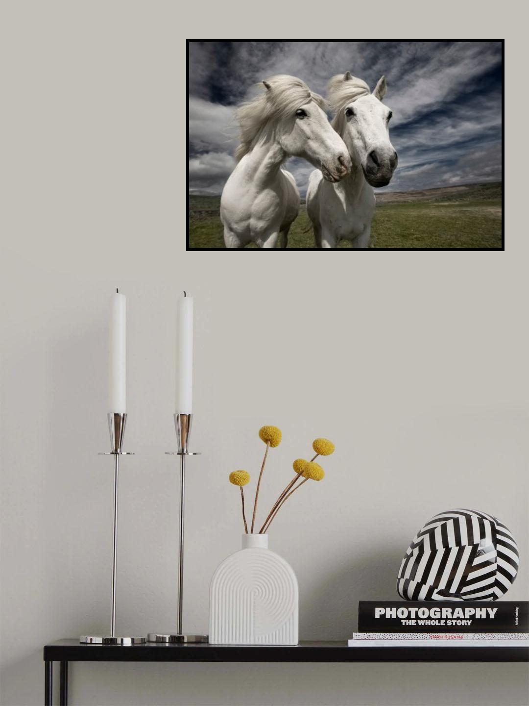 Inseparables Poster och Canvastavla