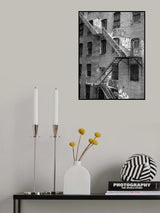 Ally Cat Poster och Canvastavla