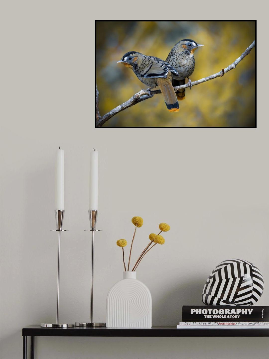 Rufous-chinned laughing thrush Poster och Canvastavla