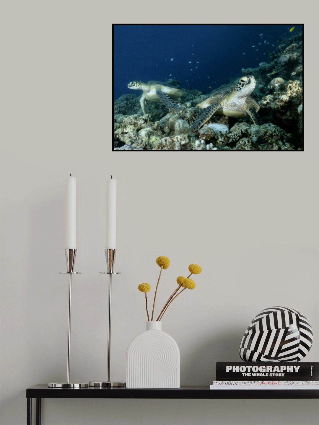 Cleaning session Poster och Canvastavla