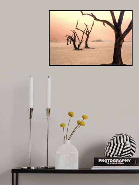 Fog and trees in the desert Poster och Canvastavla