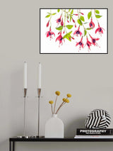 ~ Fuchsia ~ Poster och Canvastavla
