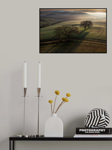 Tuscan morning Poster och Canvastavla