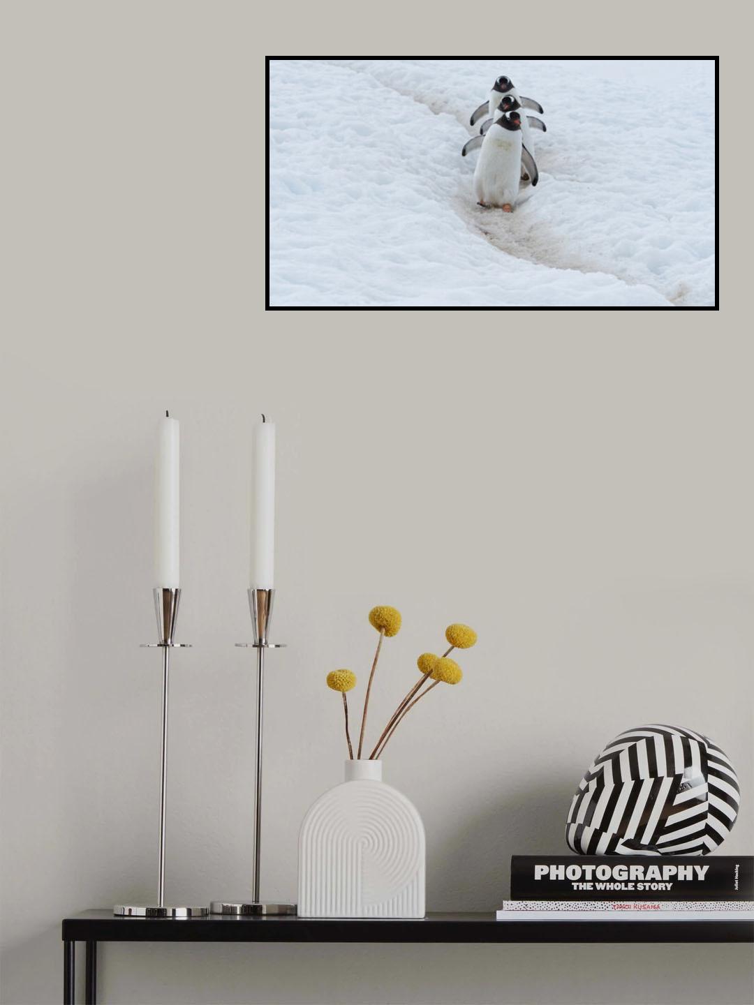 Penguin Highway Poster och Canvastavla