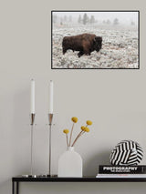 Late Fall Yellowstone Poster och Canvastavla
