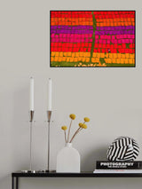 Drying cloth under sunlight Poster och Canvastavla