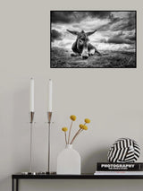 Taking a break Poster och Canvastavla
