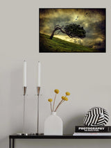 Winds of Change Poster och Canvastavla