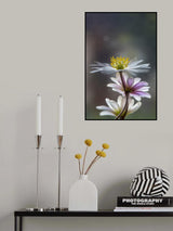 The Windflower Poster och Canvastavla