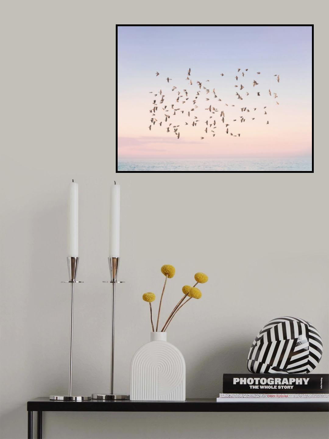 Sunset Flight Poster och Canvastavla