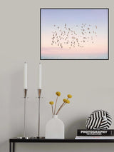 Sunset Flight Poster och Canvastavla