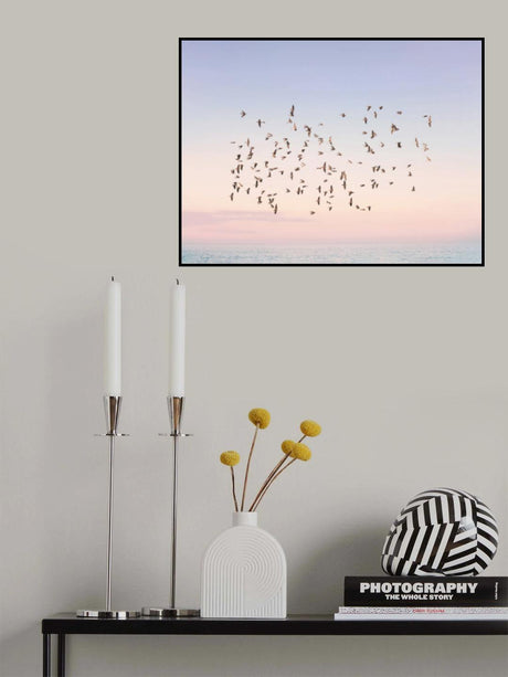 Sunset Flight Poster och Canvastavla
