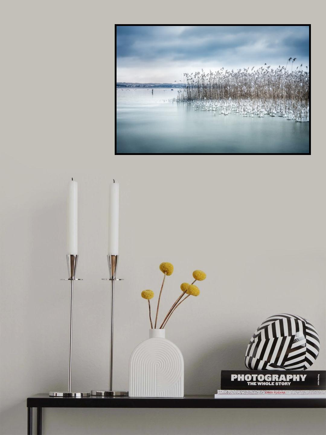 Winter Impression Poster och Canvastavla