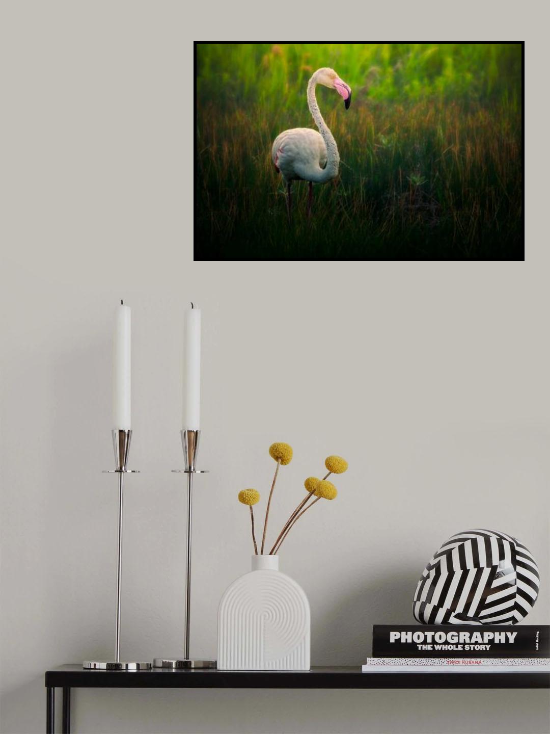 Flamingo Poster och Canvastavla