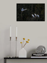 Learn to Fly Poster och Canvastavla