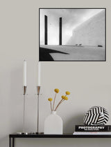 SEAGULLS Poster och Canvastavla