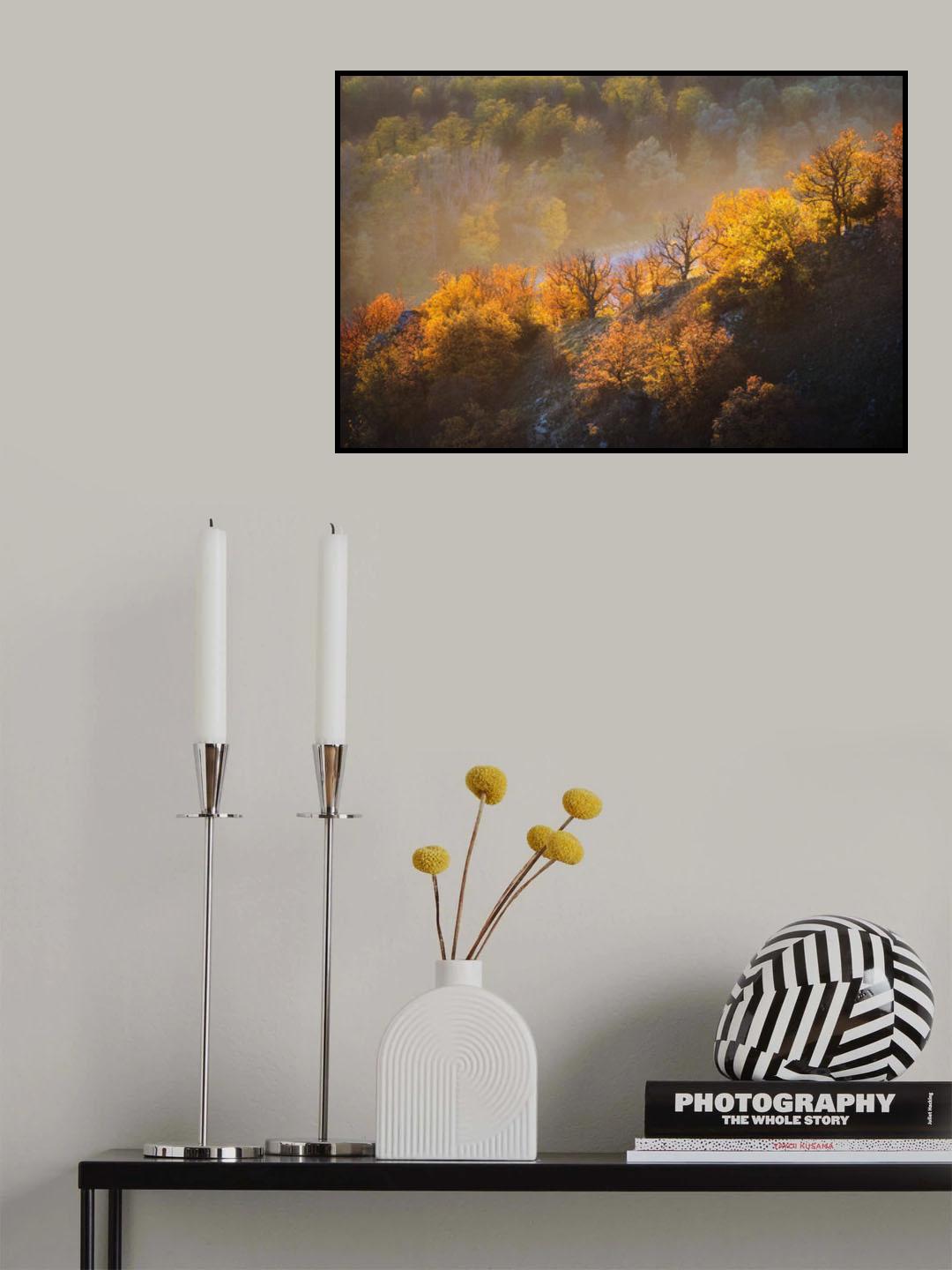 autumn trees Poster och Canvastavla