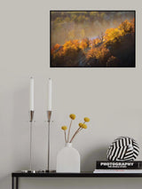 autumn trees Poster och Canvastavla