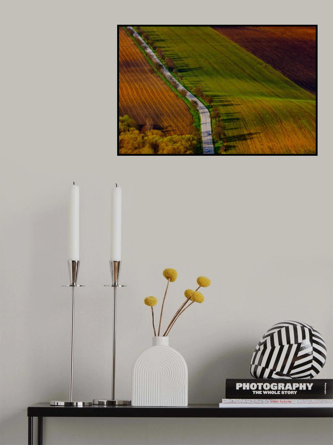 Spring lines Poster och Canvastavla