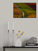 Spring lines Poster och Canvastavla